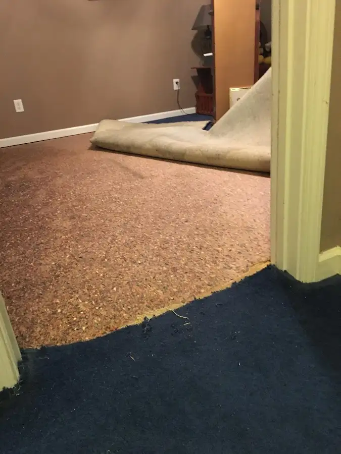 Carpet pad removal revealing water damage during Drying & Dehumidification in Mack